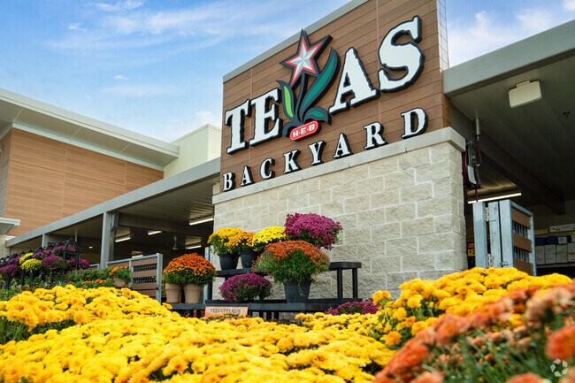 Locals can pop by their local H-E-B and grab vibrant flowers to add to their homes.