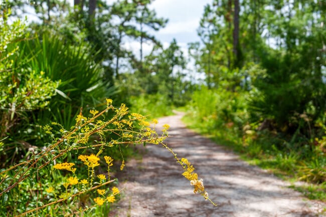 Enjoy nature's beauty on the nearby Econ Corridor trails, just minutes from Live Oak Reserve.