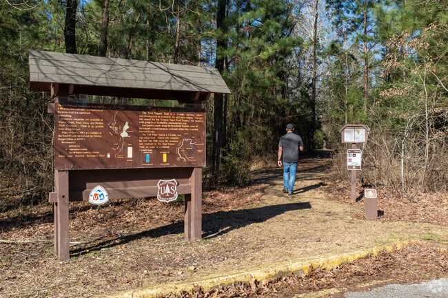Plan a hike on the trails that run through Davy Crockett National Forest near Palestine.