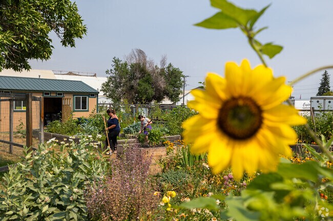 Raised garden beds at 6th Ward Garden Park are ideal for growing vegetables and herbs.