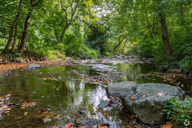 Many Indian Spring residents head to Sligo Creek for a little peace and quiet.