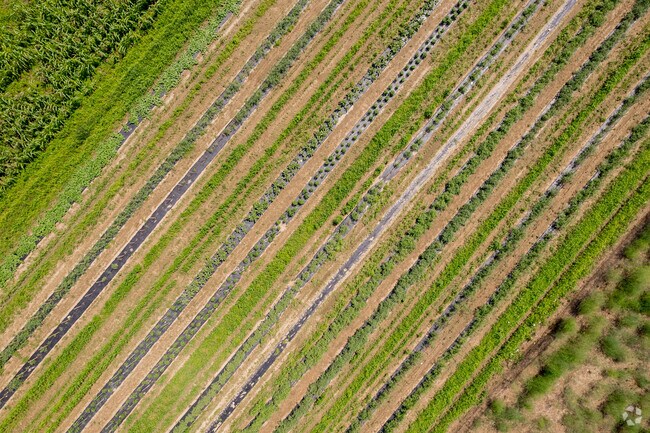 Farmland takes up the majority of Westhampton land.