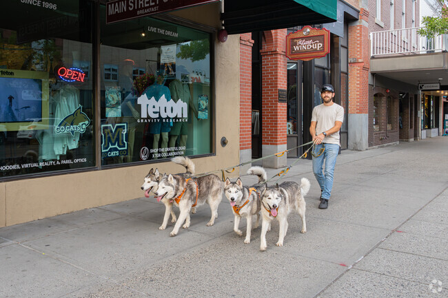 A Bogert Park resident takes his sleigh dogs out for training in downtown Bozeman.
