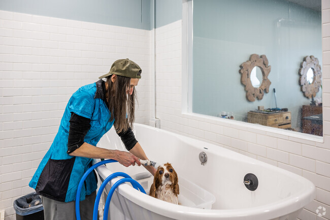 Treat your pet to a calming spa day next door to Page's Healthy Paws II near Port Barrington.