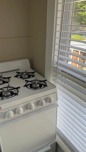 245 Union St unit 3, Hamburg, NY 14075 - photo 6