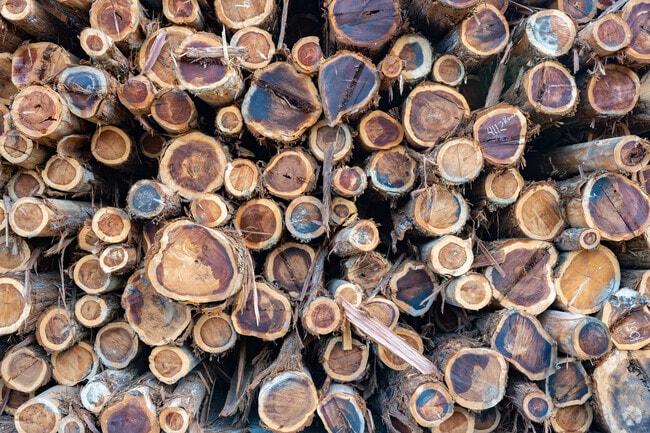The logging industry is still viable in Willits as it is the gateway to 2 million acres of Redwoods.
