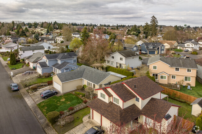 Aerial photo of the homes in the Wilkes neighborhood.
