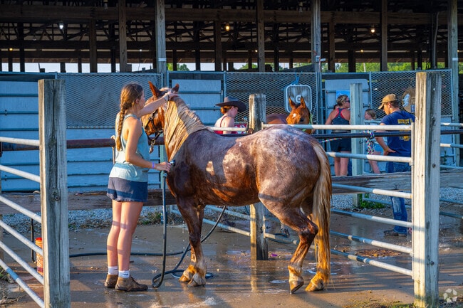 This horse gets a wet cool down at Northwest Fort Wayne's Allen County Fair.