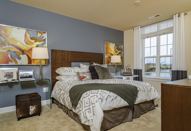 Master bedrooms designed for king size furniture