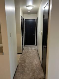 One Bedroom, Hallway