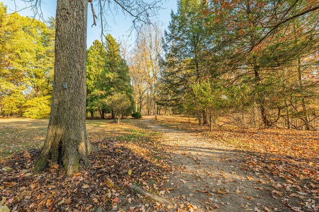 The Core Arboretum is a beautiful green space with several trails.