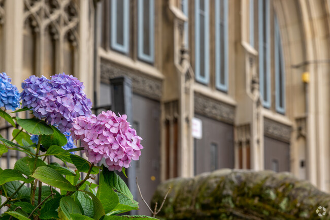 Flowers line the entrance of Tilden Middle School in Philadelphia.