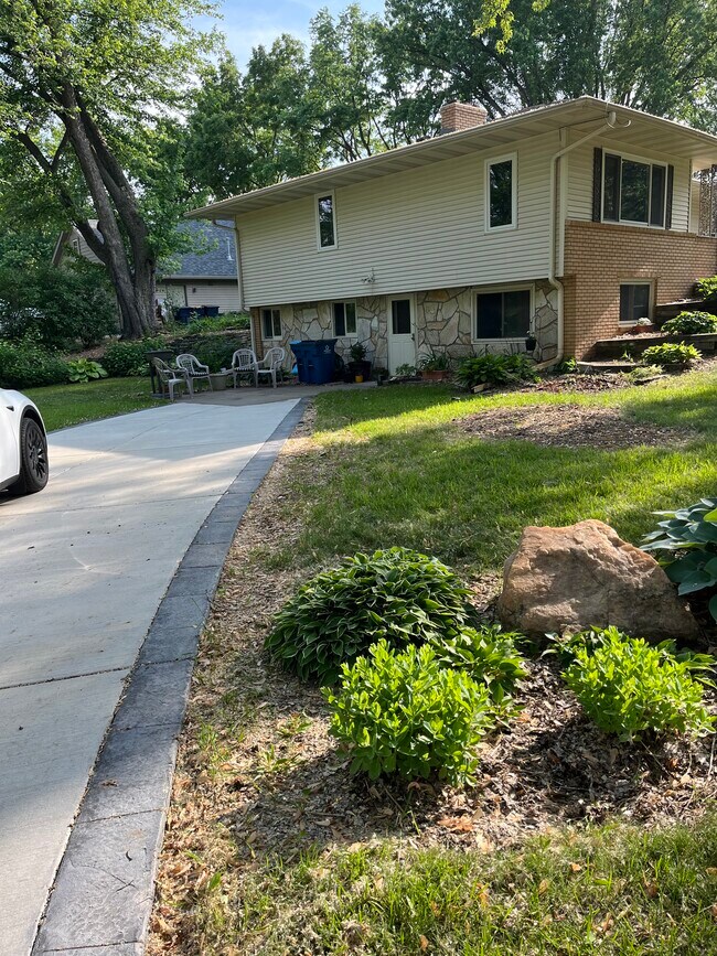 Landscaped yard