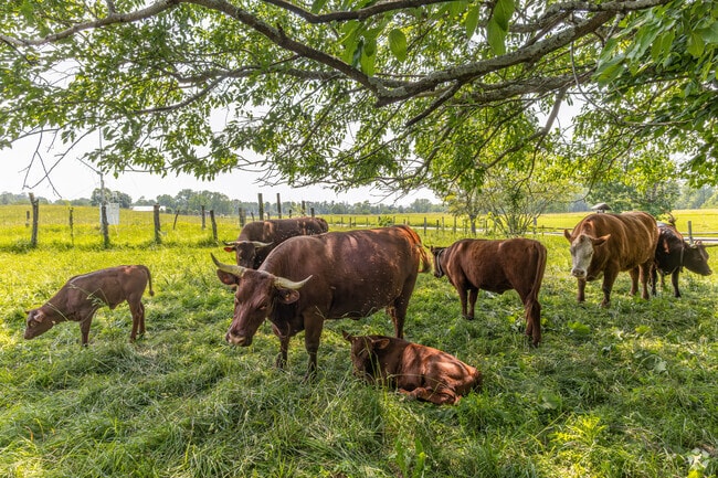 Stony Kill Farm gives Fishkill residents access to nature, education, and a sense of calm just outside the village center.