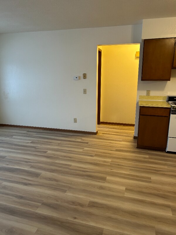 215 Main St N unit Apartment 1, Minnesota Lake, MN 56068 - photo 5