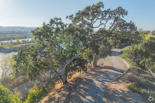 The Oaks' surrounding grass can get dry in the summer months and turn brown.