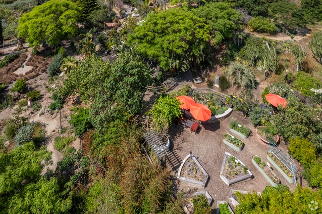 San Diego Botanic Garden spans 37 acres of diverse plants in Encinitas.