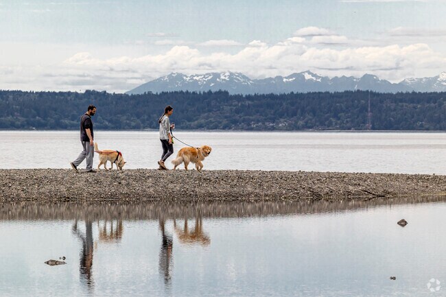 Salt Water State Park in the Woodmont area attracts many dog walkers.