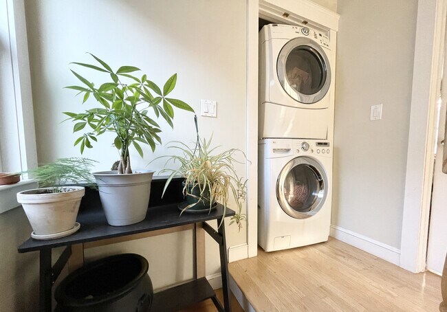 23 Iroquois St, Roxbury Crossing, MA 02120 - photo 6