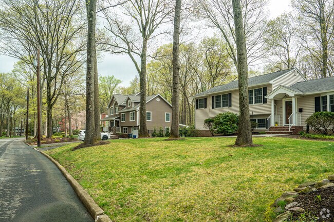 Tree-lined neighborhood with family homes in Allendale.