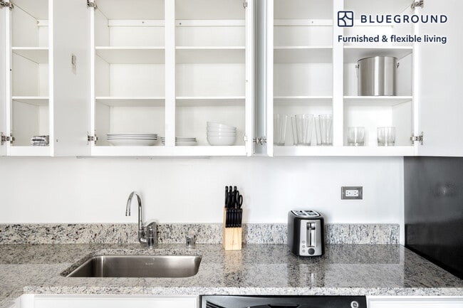 750 N Rush St unit FL16-ID270, Chicago, IL 60611 - photo 6