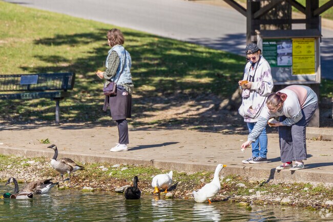 Friends sit beside the lake in Fairview Park, feeding geese while soaking up the view.
