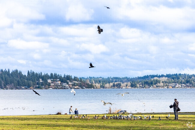 Matthew's Beach Park offers views of Lake Washington from the shores of Lake City.