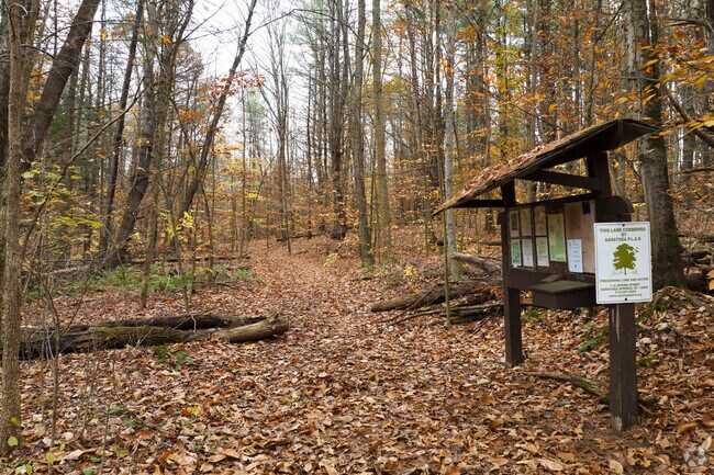 Take a hike in the historic Orra Phelps Preserve in Wilton.