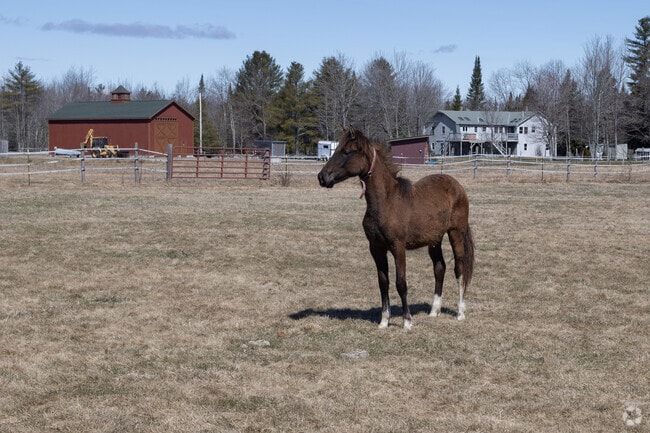 Ranches are a significant part of the agricultural landscape in and around Mechanic Falls.