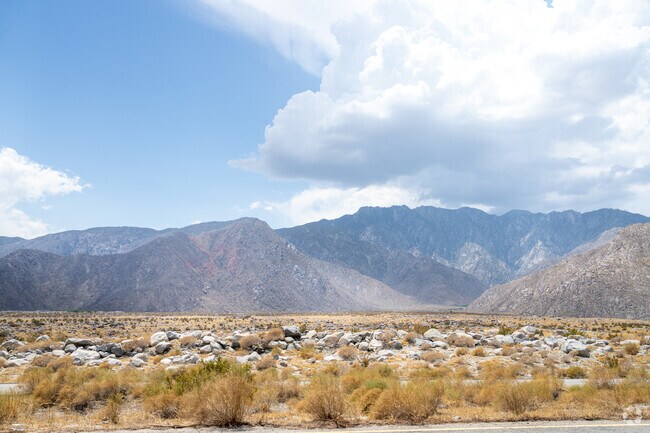 Beautiful views of the desert surrounding the Desert Park Estates area.