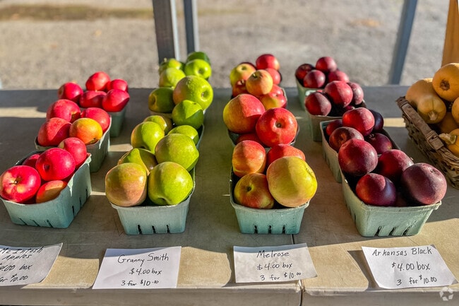 Find the freshest fruits and vegetables at the New Brighton Farmers Market in New Brighton.