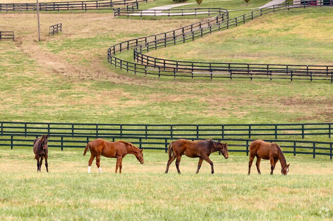 There are over 7,000 horses in Scott County and the Paynes Depot neighborhood.