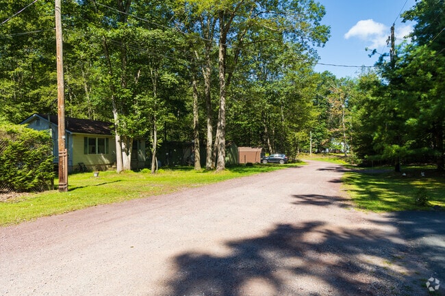 Tree-lined roads in Foster are home to charming residences and peaceful scenery.