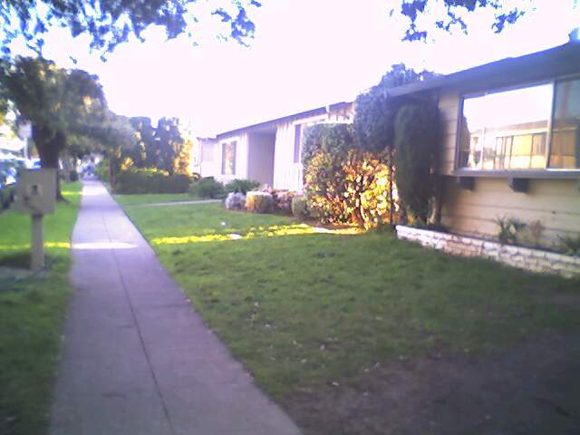 1123 Starbird Cir unit 3, San Jose, CA 95117 - photo 5