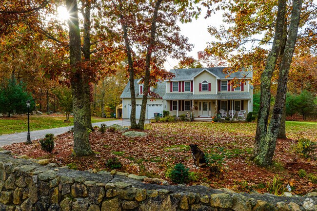 Forest-lined properties in Richmond offer quiet living off the main road.