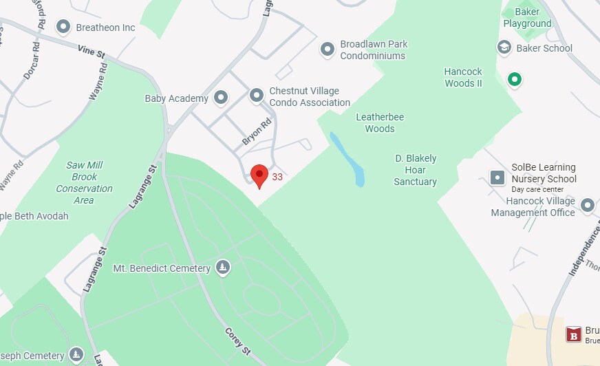 33 Westgate Rd unit 5, Boston College, MA 02467 - photo 1