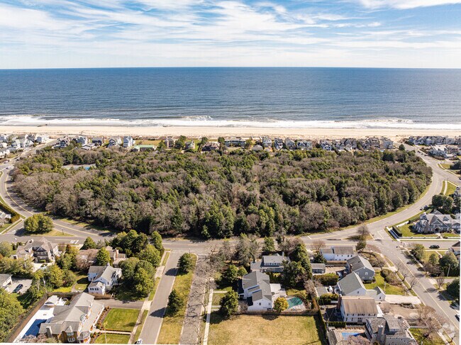 The unique Crescent Park located in Sea Girt is a forest that sits directly on the beach.