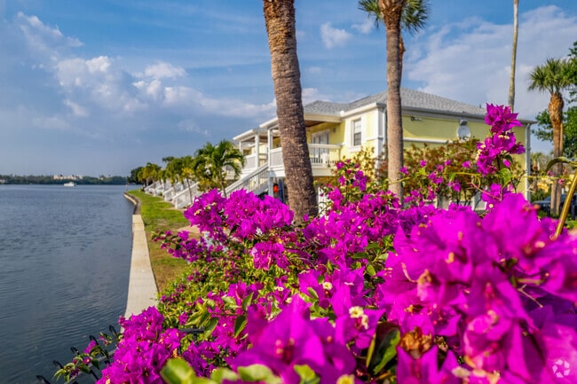 You can enjoy many beautiful flowers & plants as you walk around Coquina Key.