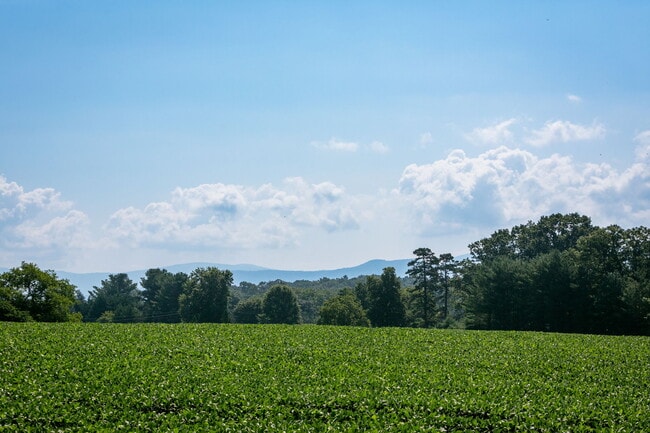 25-web-or-mls-Overbrook Neighborhood-5.jpg