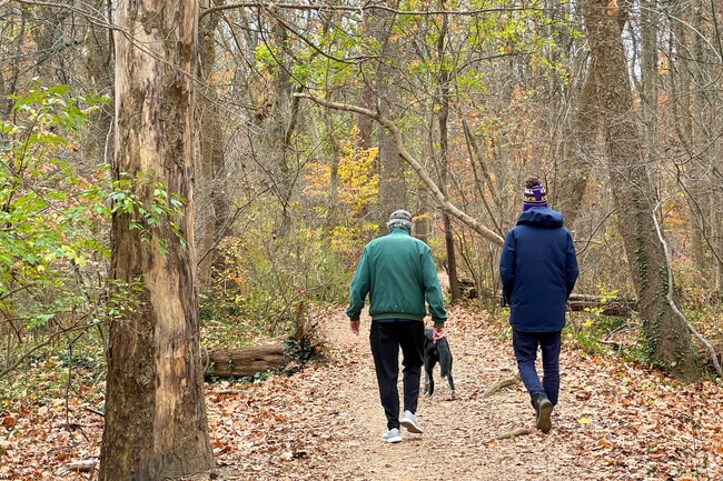 Residents walk through trails at Glover Archibold Park.