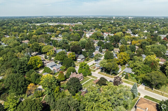 Residential streets run through beautiful greenery in University Neighbors.