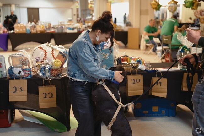 The Lucky Paws Vendor Show & Basket Raffle at Batavia City Center supports Vanessa’s Lasting Legacy Ltd., a nonprofit dedicated to helping keep pets with their families.