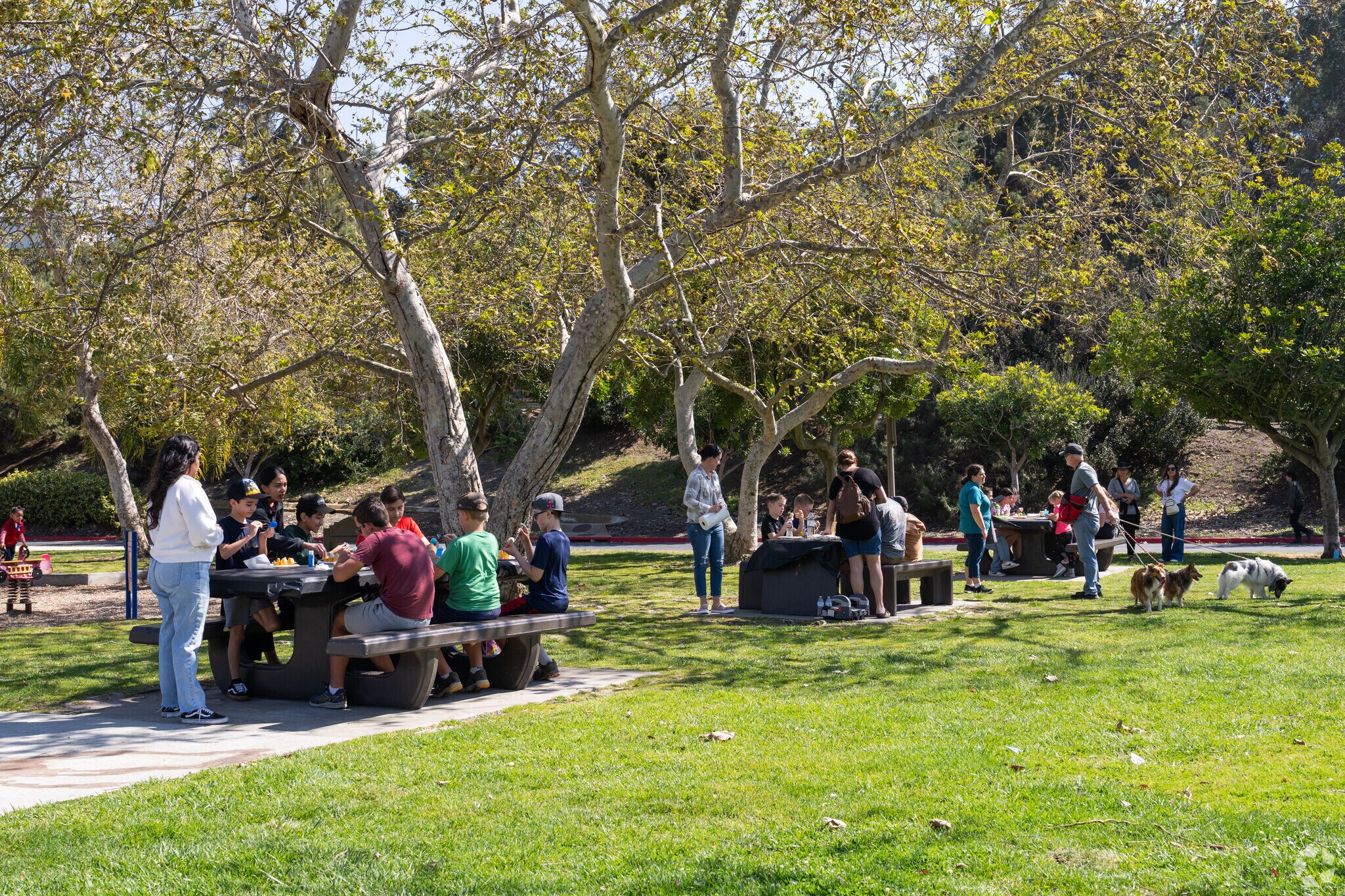 Kumeyaay Park has activities for local kids to make art in the park in Rancho Del Rey.