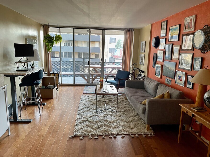 Large Living Room