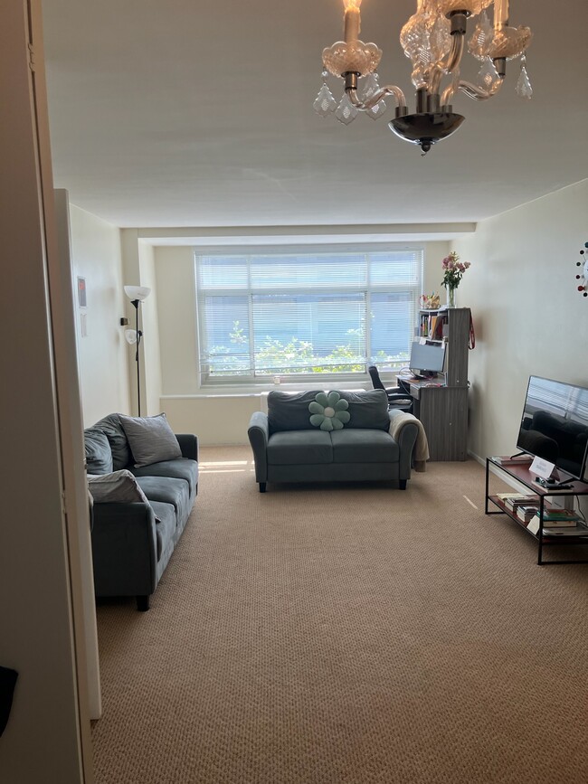 LIVINGROOM AREA
