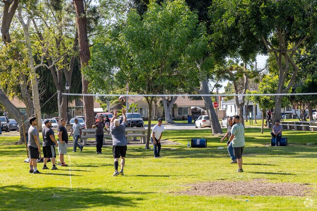 Several grass volleyball courts are spread throughout South Gate Park in South Gate, CA.