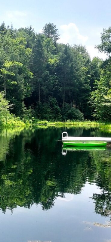 266 Sugar Run Ln, Towanda, PA 18848 - photo 7