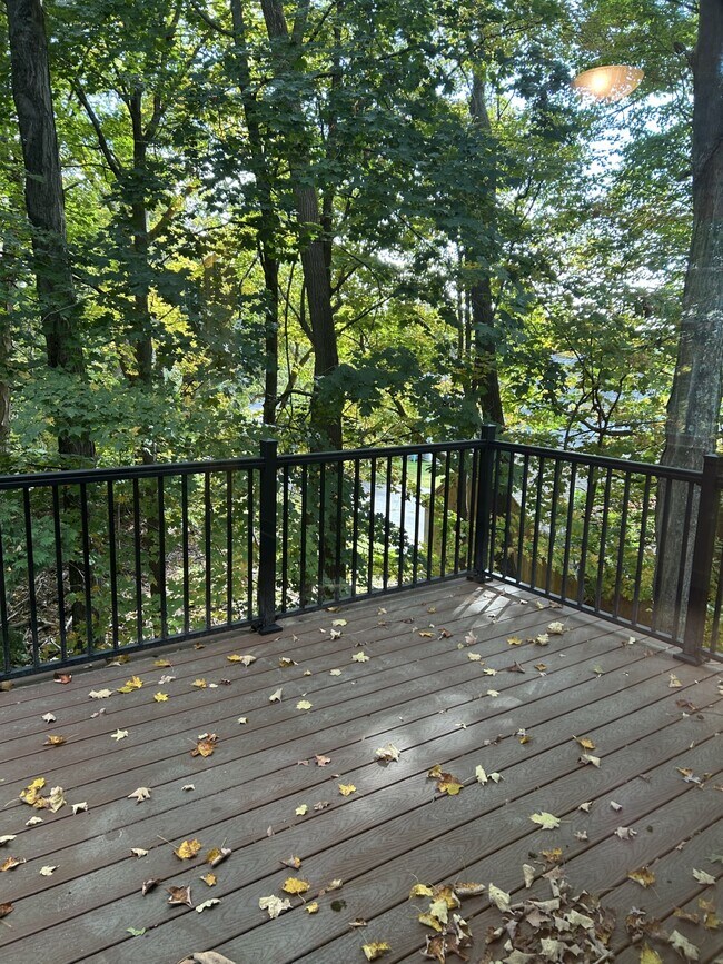 View from Living Room Deck