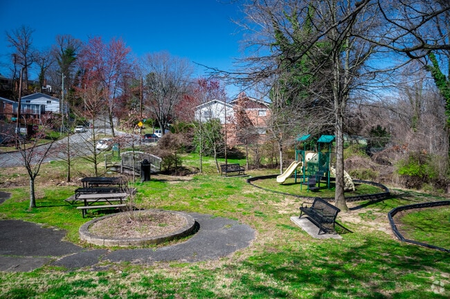 Children in Dupont Park enjoy playing at the playground at Pope Branch Park.