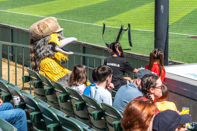 Spot the Larks' mascot in the stands during Bismarck Youth Baseball Day at Municipal Ballpark.